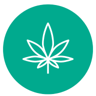 CBD and Hemp